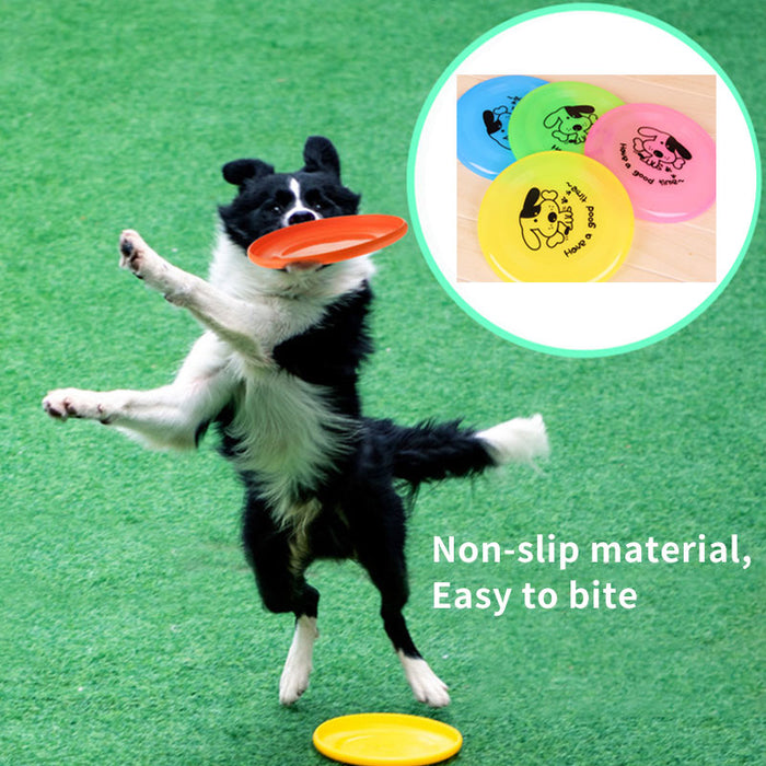 Dog Outdoor Interactive Toy