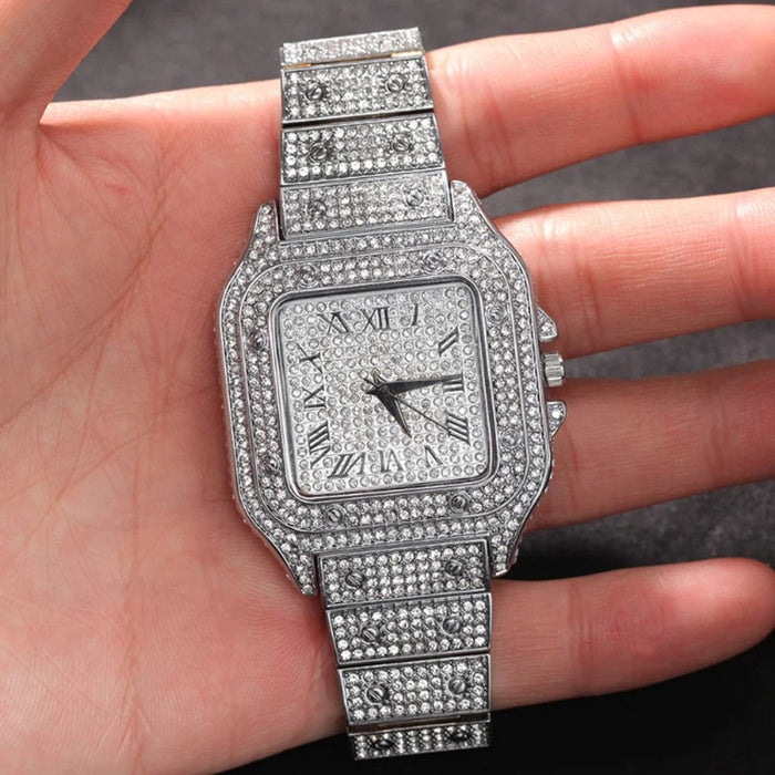 Steel Icy Elegance Roman Watch