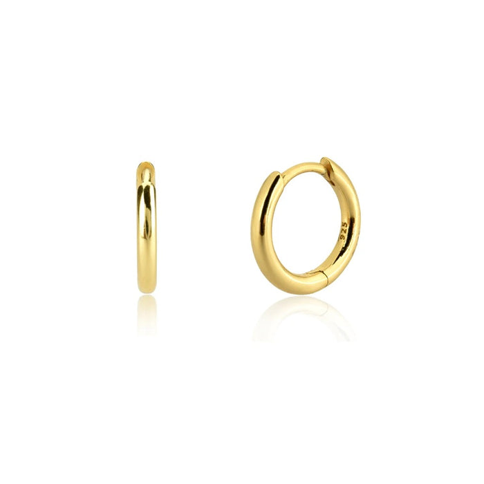 Dual-tone Silver & Gold Hoops